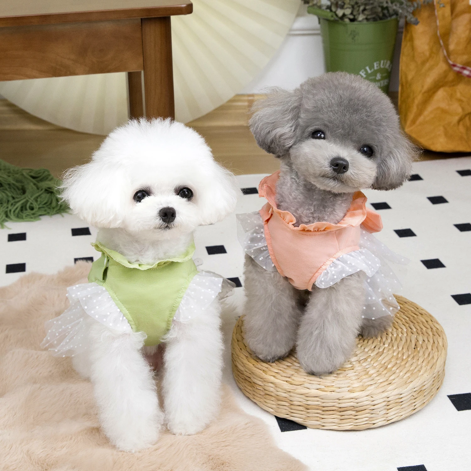 Abito estivo per cani carino G - Summer Loving Clothing recensione e prezzo